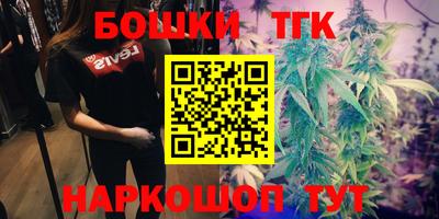 дмт Гатчина