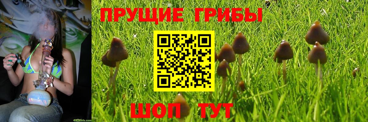 Орехово-Зуево  Галлюциногенные грибы GOLDEN TEACHER  магазин продажи наркотиков  Вход с VPN 